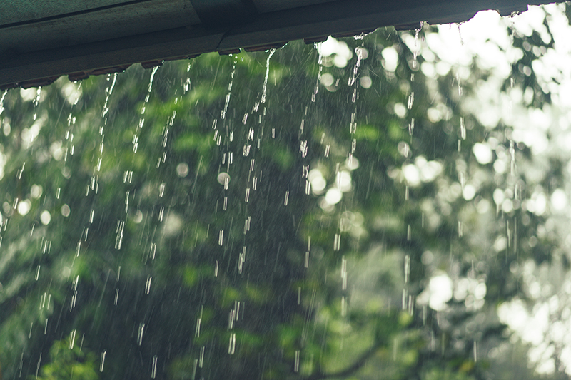 雨聲助眠曲